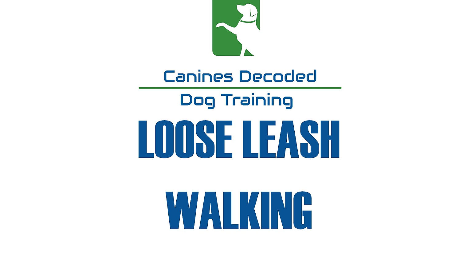 Loose Leash Walking